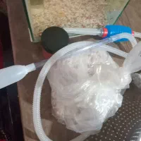آکواریوم