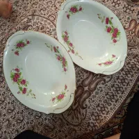 جفت مرغ خوری ژاپن گلسرخی