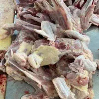 اسکلت با گردن مرغ/ضایعات مرغ
