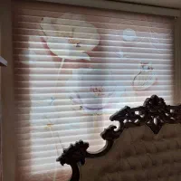 ۲ عدد پرده زبرا طرح دار دو حالته روز و شب