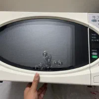 مایکروویو نو