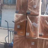 24  شکار