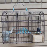 قفس سهره دستباف