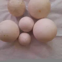 سلام سنگ سفید فروش فوری