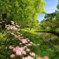 فروش-باغ-حوالی-دهکده-پارس2400متر-لوکیشن-آرام-سرسبز