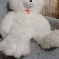 عروسک تدی در حد نو
