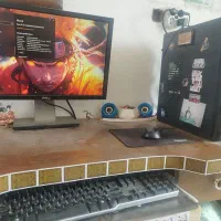 کامپیوتر ، کیس ، مانیتور ، دل