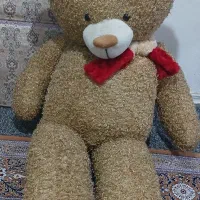 خرس قهوه ای و خرگوش سفید
