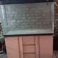 اکواریم ماهیران ۱۲۰ سانتی بزرگ