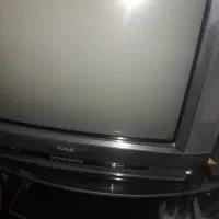 تلویزیون