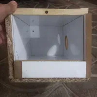 لانه عروس هلندی