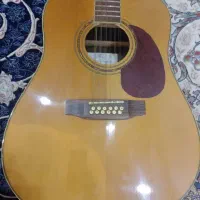 گیتار 12سیم هافنر