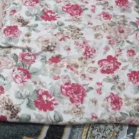 3عددتشک درحدنو