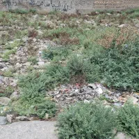 زمین مسکونی