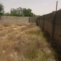 1000متر-سند-تک-برگ-زعفرانیه-سهیلیه