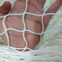 انواع تورپرون گنجه