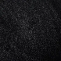 فروش بذر پیاز مینروا آرژانتینی دستگیری