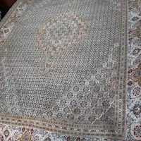 تک ماهی رج ۴۰ خوی، ۹ متن