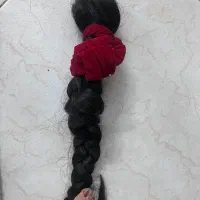 مو سالم