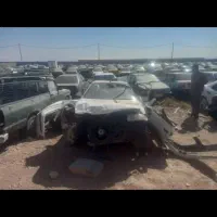سمند تصادفی