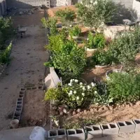 باغ-شهر-تپه-پزشکان