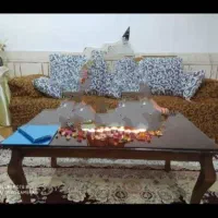 موکت|موکت|نجفآباد, فردوسی شمالی|دیوار
