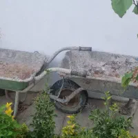 فرغون و بیل