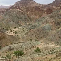 طبیعت گردی