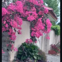 واگذاری خطوط تلفن ثابت منطقه شرق تهران