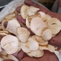 پلاک موسیر زیر قیمت