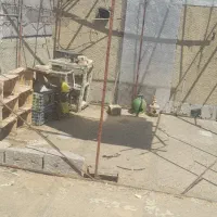 لانه‌توری.مرغ‌گلین.