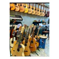 نمایندگی گیتار پارسی و دیاموند /