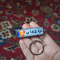 جاسوییچی پلاک ماشین
