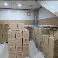 فروش تخم مرغ عمده / شهرستان مراغه