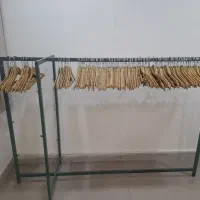 رگال