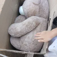عروسک شاسخین