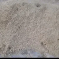 کاه گندم برازجان