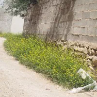 پیمانکاری ساختمان