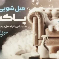 قالیشویی و مبل شویی پاکشو