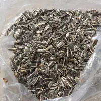 تخمه ‌دور سفید ‌کشیده