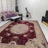 سویت فوق‌العاده لوکس کولردار طبق عکس داده میشود