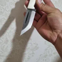 چاقو کلکسیونی