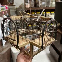 سهره قفس تله سهره