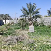فروش زمین باغ شهری
