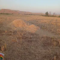 کاه گندم باکی ۲ ملیون