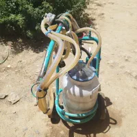 شیردوش