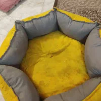 لوازم جانبی حیوانات