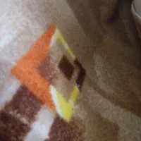 موکت