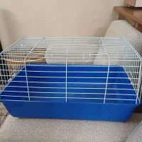 باکس پت
