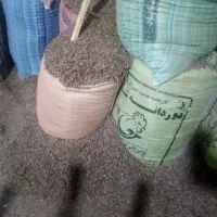 تراشه چوب